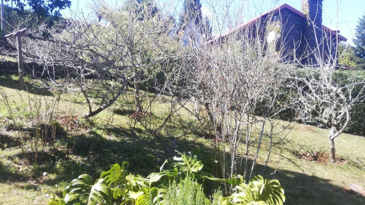 Chalet Pico Das Pedras Santana  Exterior photo